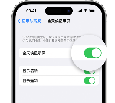 铁岭苹果15预约维修分享iPhone15如何设置全天候显示屏幕可见 